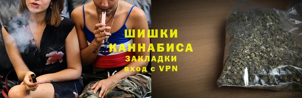 Альфа ПВП Богородск
