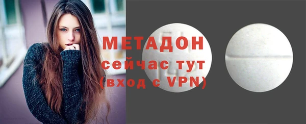 дживик Туринск