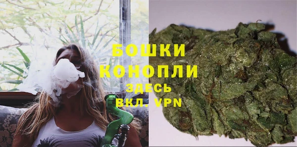 Альфа ПВП Богородск
