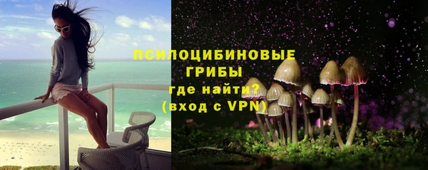 Альфа ПВП Богородск
