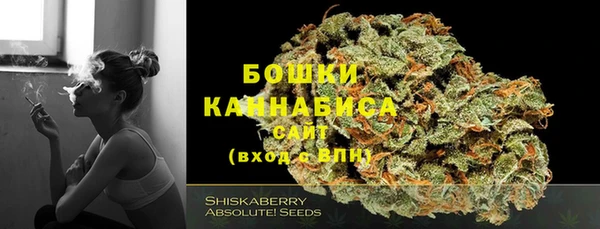 Альфа ПВП Богородск